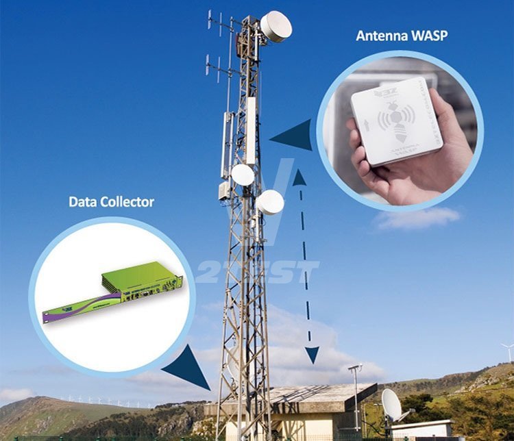 Поставка Датчик мониторинга антенн 3Z Telecom Antenna WASP